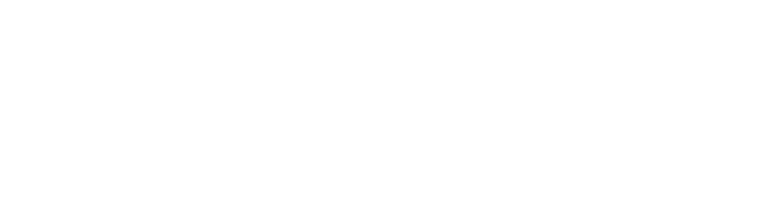 Software Holding — Wise Accelerate client
