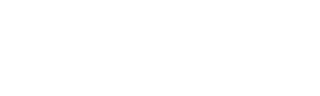 Cause — Wise Accelerate client