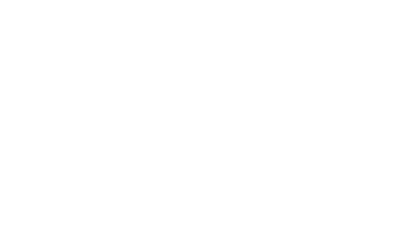 Lisa — Wise Accelerate client
